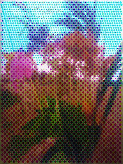 Jacek Malicki, fotografia cyfrowa, ok. 2011 Jacek Malicki, fotografia cyfrowa, ok. 2011