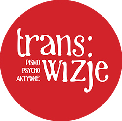 Przejdź do strony pisma Trans/Wizje 