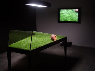 Ich bin der Welt abhanden gekommen, wideoinstalacja Ich bin der Welt abhanden gekommen, wideoinstalacja