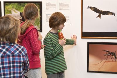 Wernisaż wystawy Fotografia Dzikiej Przyrody 2012, 5.04.2013, Galeria Bielska BWA, fot. K. Morcinek Wernisaż wystawy Fotografia Dzikiej Przyrody 2012, 5.04.2013, Galeria Bielska BWA, fot. K. Morcinek