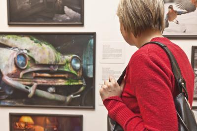 Wernisaż wystawy Fotografia Dzikiej Przyrody 2012, 5.04.2013, Galeria Bielska BWA, fot. K. Morcinek Wernisaż wystawy Fotografia Dzikiej Przyrody 2012, 5.04.2013, Galeria Bielska BWA, fot. K. Morcinek