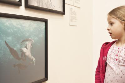 Wernisaż wystawy Fotografia Dzikiej Przyrody 2012, 5.04.2013, Galeria Bielska BWA, fot. K. Morcinek Wernisaż wystawy Fotografia Dzikiej Przyrody 2012, 5.04.2013, Galeria Bielska BWA, fot. K. Morcinek