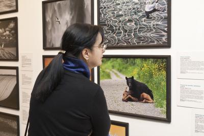 Wernisaż wystawy Fotografia Dzikiej Przyrody 2012, 5.04.2013, Galeria Bielska BWA, fot. K. Morcinek Wernisaż wystawy Fotografia Dzikiej Przyrody 2012, 5.04.2013, Galeria Bielska BWA, fot. K. Morcinek