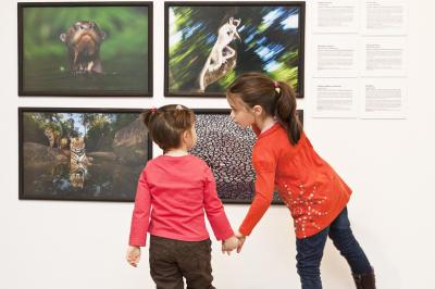 Wernisaż wystawy Fotografia Dzikiej Przyrody 2012, 5.04.2013, Galeria Bielska BWA, fot. K. Morcinek Wernisaż wystawy Fotografia Dzikiej Przyrody 2012, 5.04.2013, Galeria Bielska BWA, fot. K. Morcinek