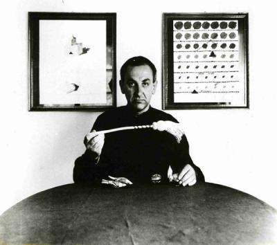 Energia luzu, 1987 Energia luzu, 1987